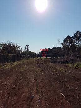 Inmueble con frente sobre Ruta en Bella Vista